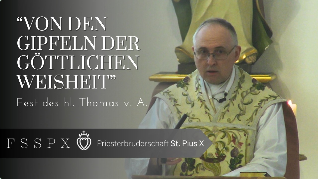 Die Lehrer und die Schüler der Sacra Doctrina