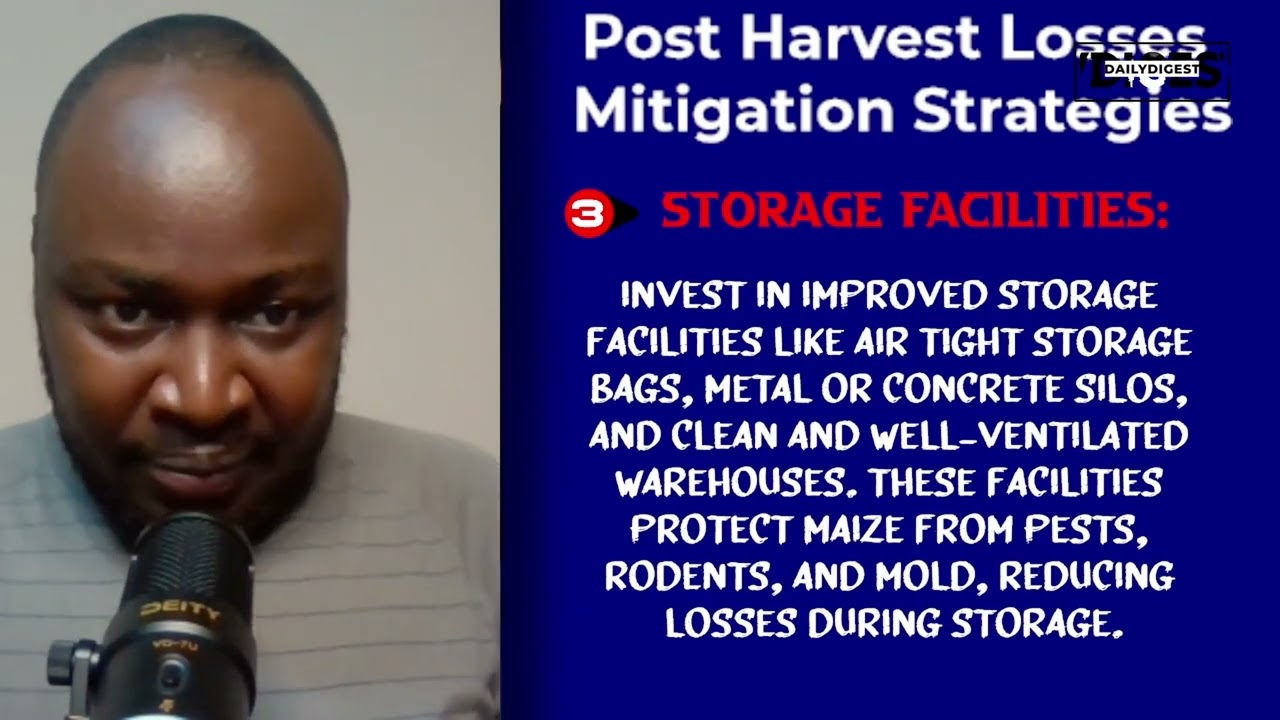 POST HARVEST LOSSES MITIGATION STRATEGIES FOR MAIZE FARMERS