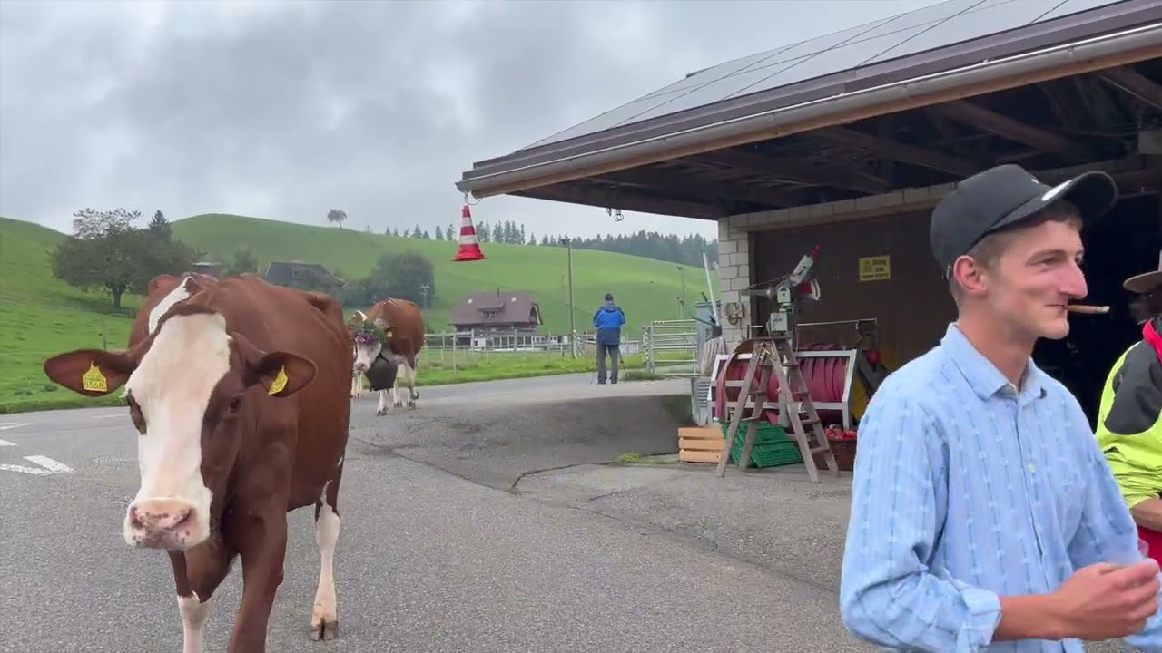 Abfahrt von der Viehschau Familie Sommer  Klötzli