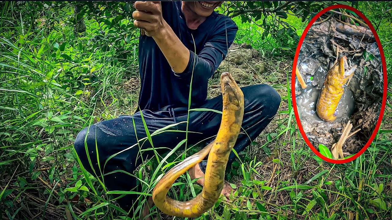 Câu Lươn về ăn tết niên cuối năm | Gấc Quê #96
