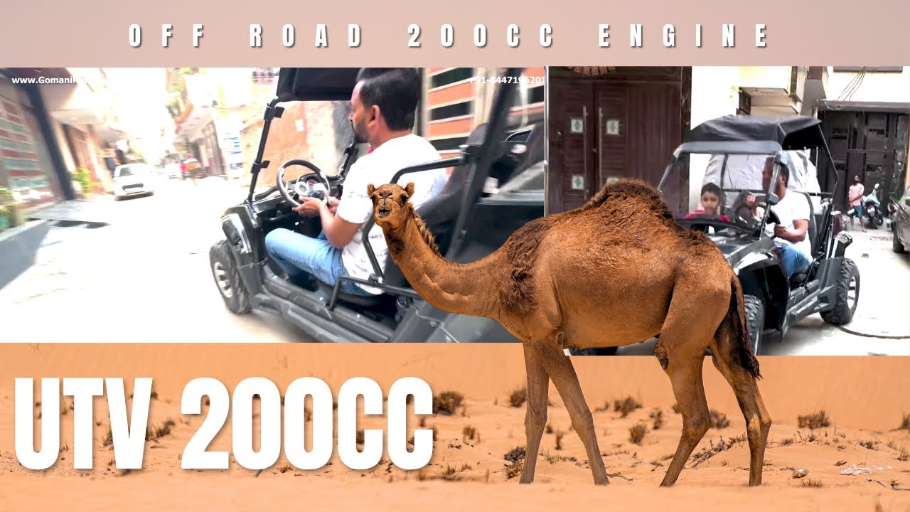 Внедорожный багги UTV с бензиновым двигателем 200 куб. см, для езды по бездорожью и по пляжу.