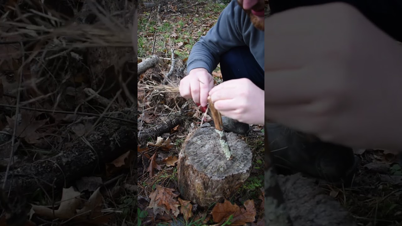 Easy Way To Make A Survival Fire Torch #shorts ￼￼￼