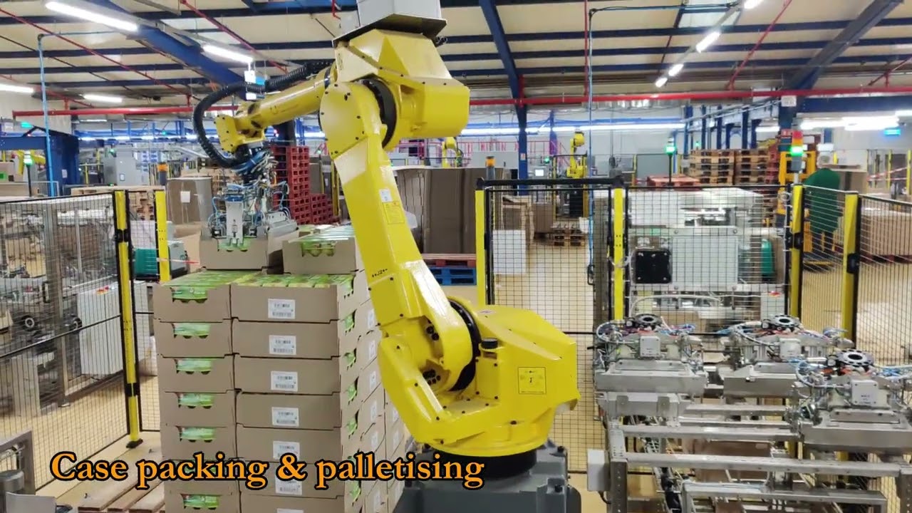 OVOCONCEPT : RANGE OF OVOCASER CASES PACKING ROBOT