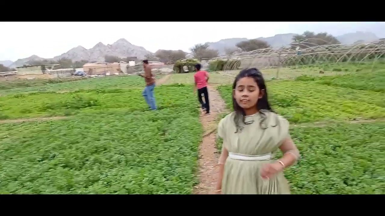 Vegetable Farm Ras Al khaimah 