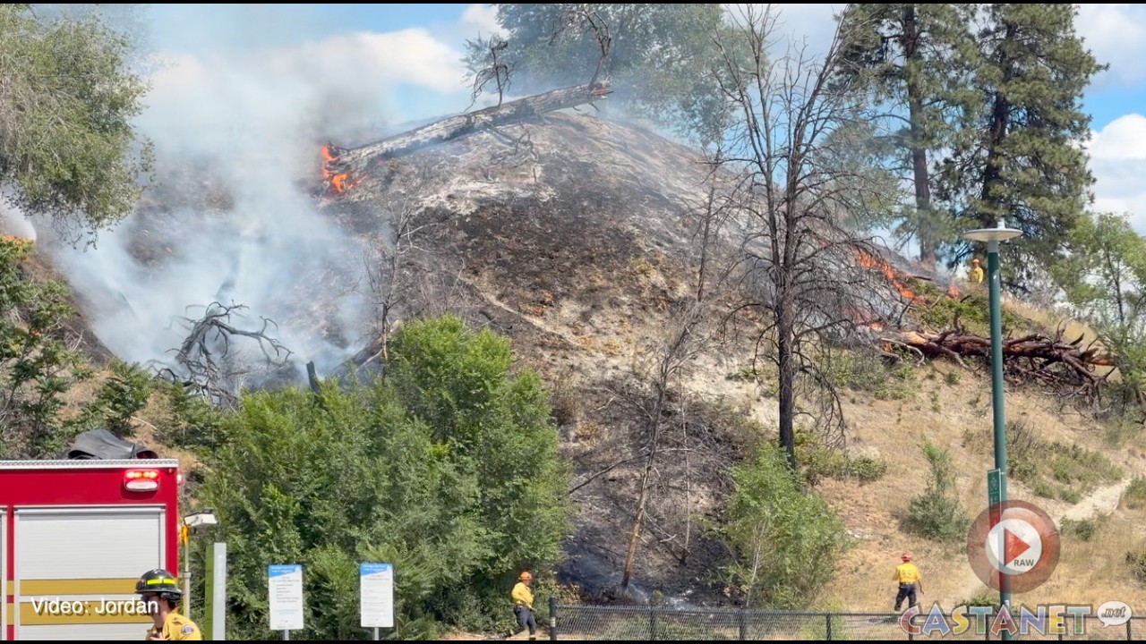 Kelowna firefighters responding to grass fire