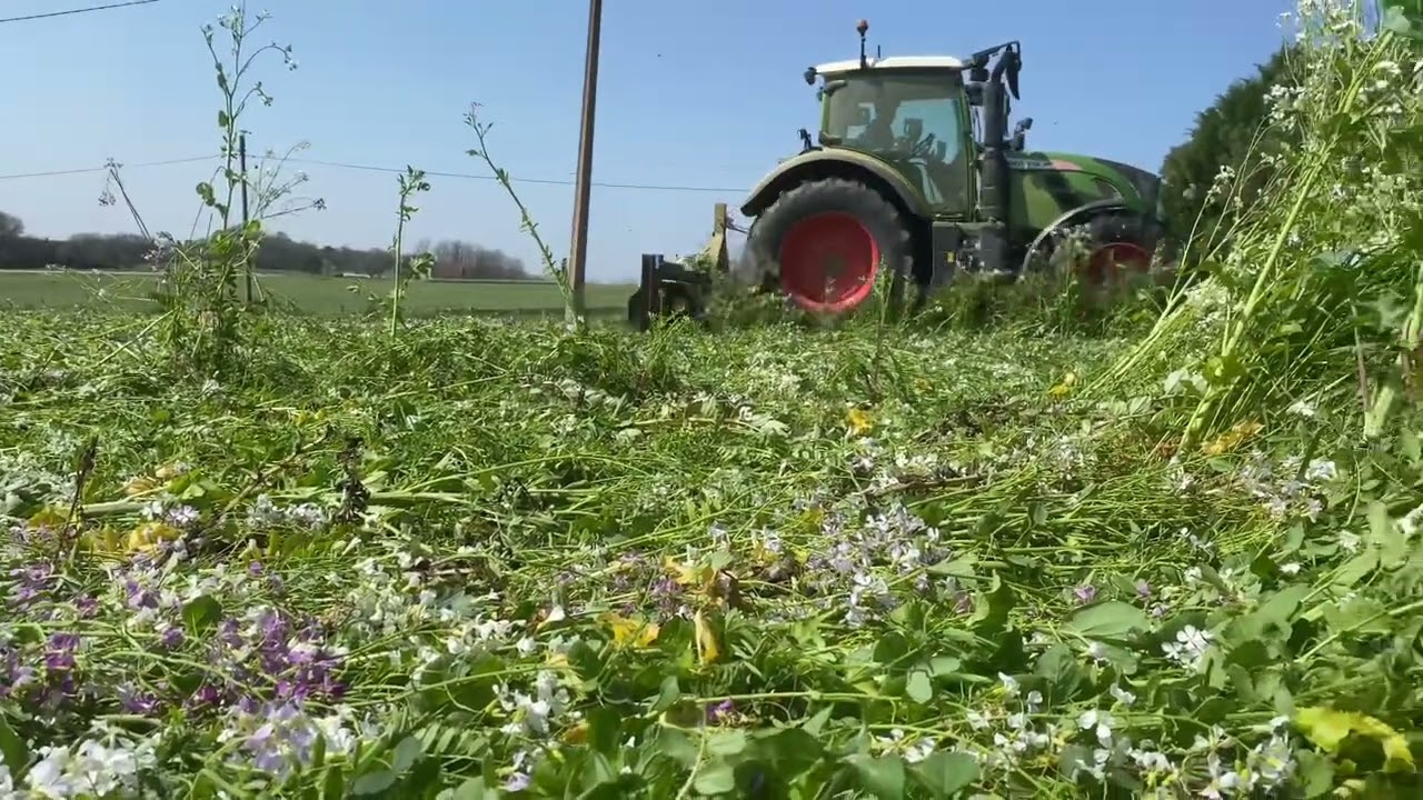 Semis et destruction du couvert végétal avant SD Maïs - Mars 2022