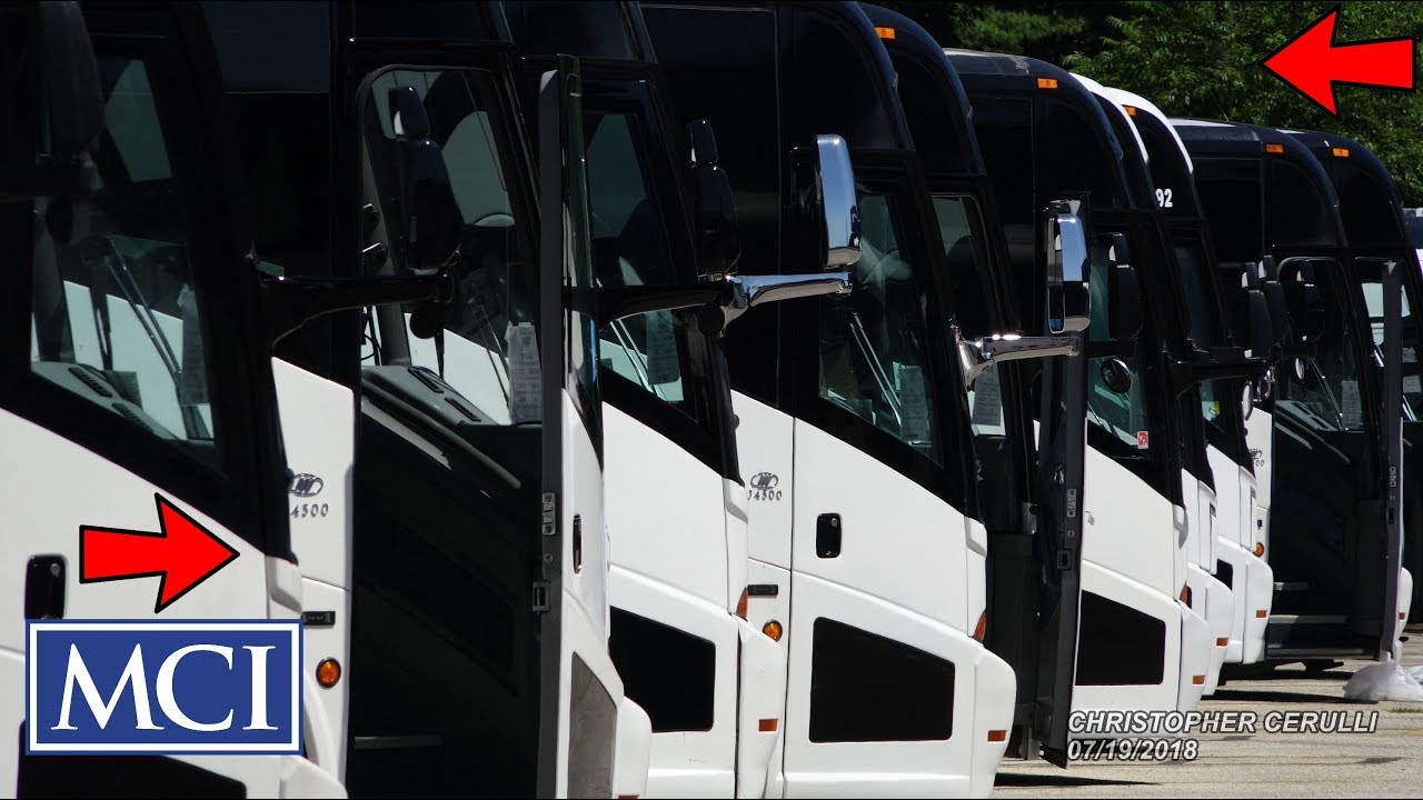Alot of MCI Motor Coach Buses
