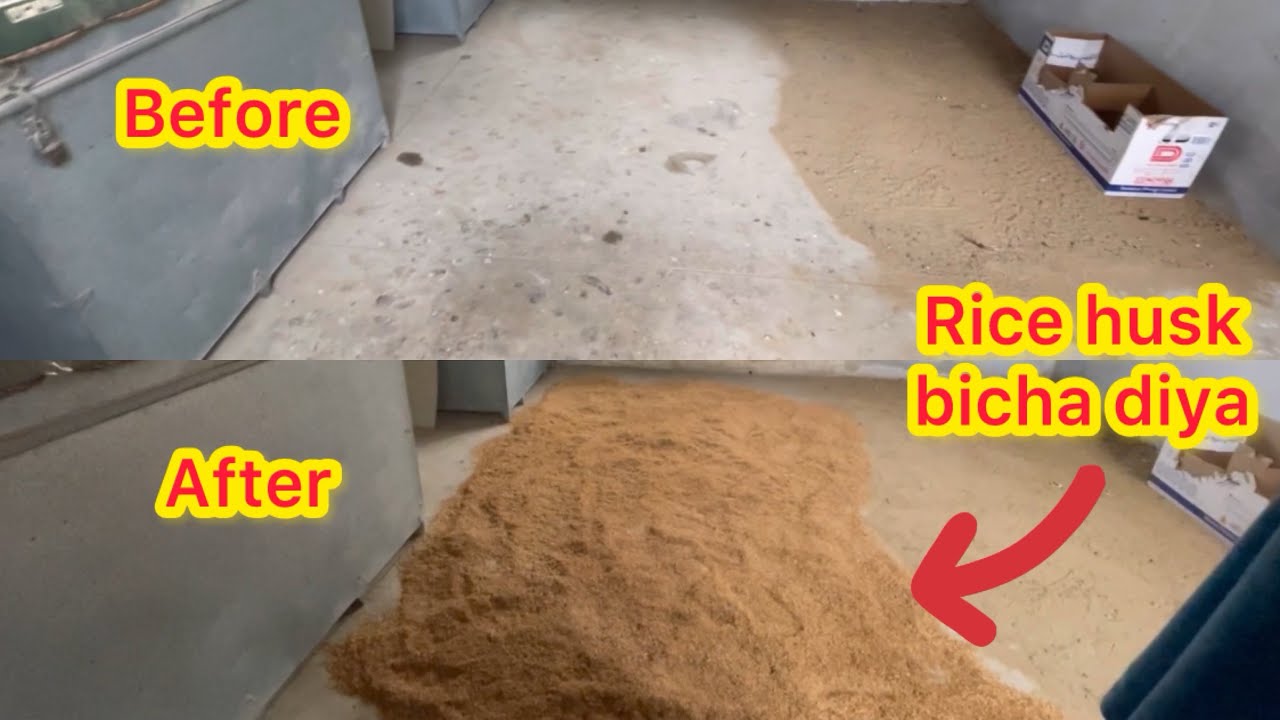 Rice husk (chawal ka chilka) bicha diya chicken 🐔 coop mein | Safai b kardi