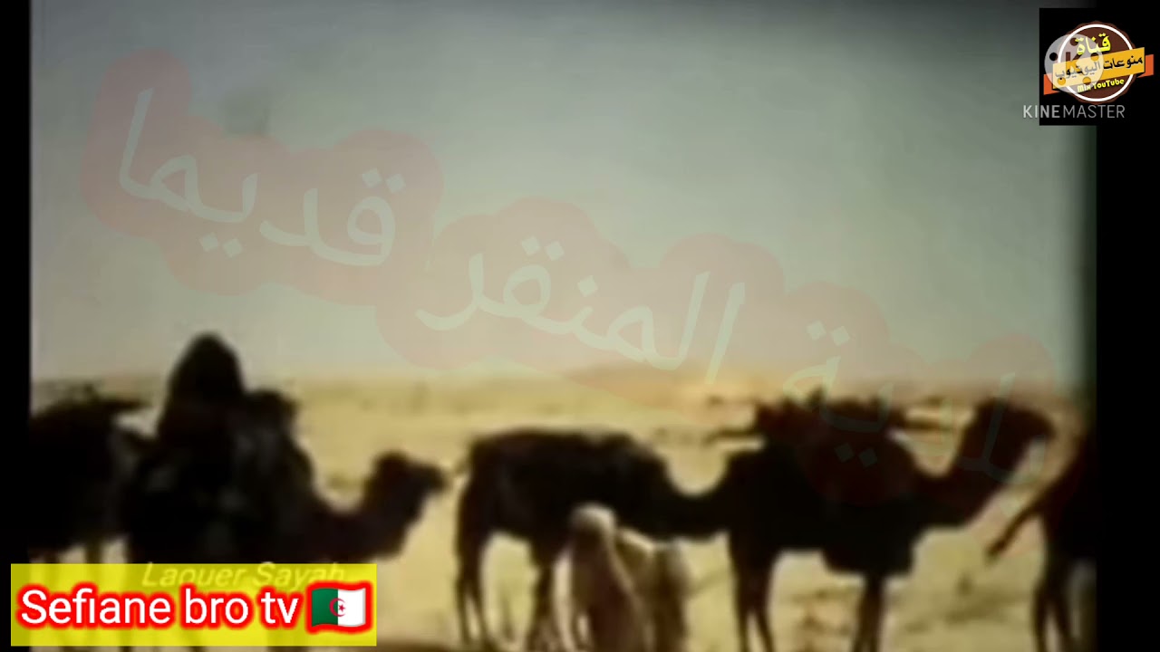 مقتطفات نادره لسكان بلدية المنقر قديماا(منقولة)