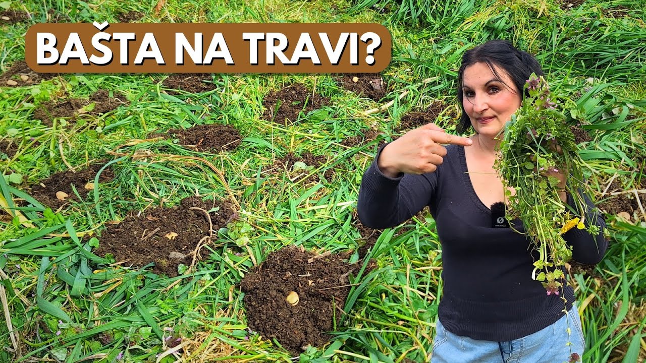 Что можно вырастить на ТРАВЕ?