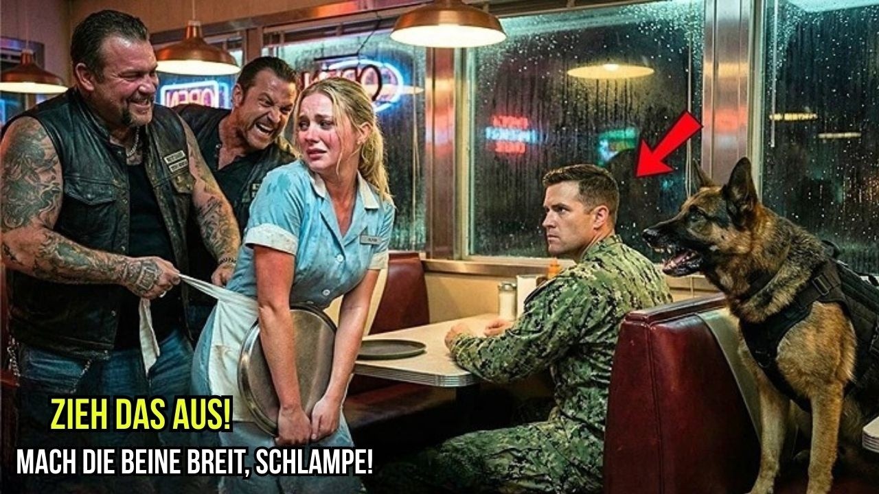 ZIEH ES AUS, B*TCH.“ Biker verspotteten die neue Kellnerin —Bis ein Navy SEAL und sein K9 eingriffen