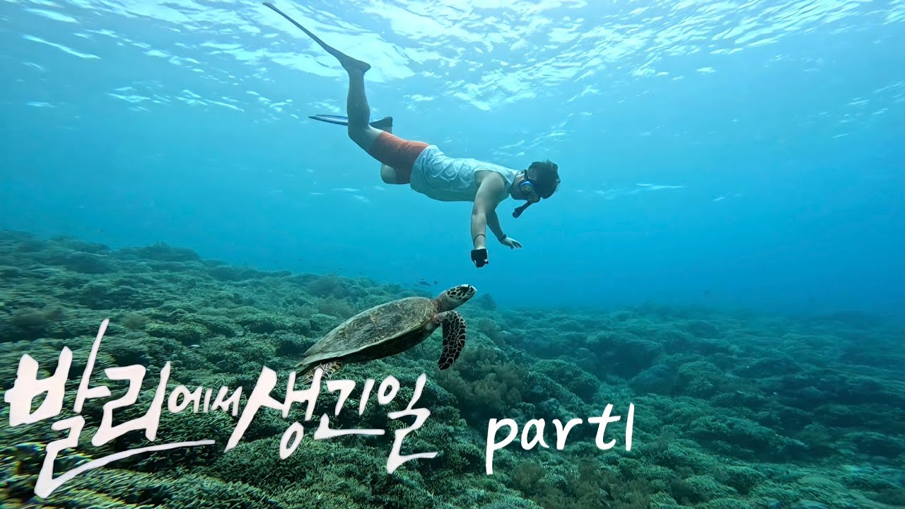 발리(BALI)🇮🇩 북부 로비나 돌핀 왓칭 & 멘장안 스노클링 가족여행 Vlog Part1 [20251107]