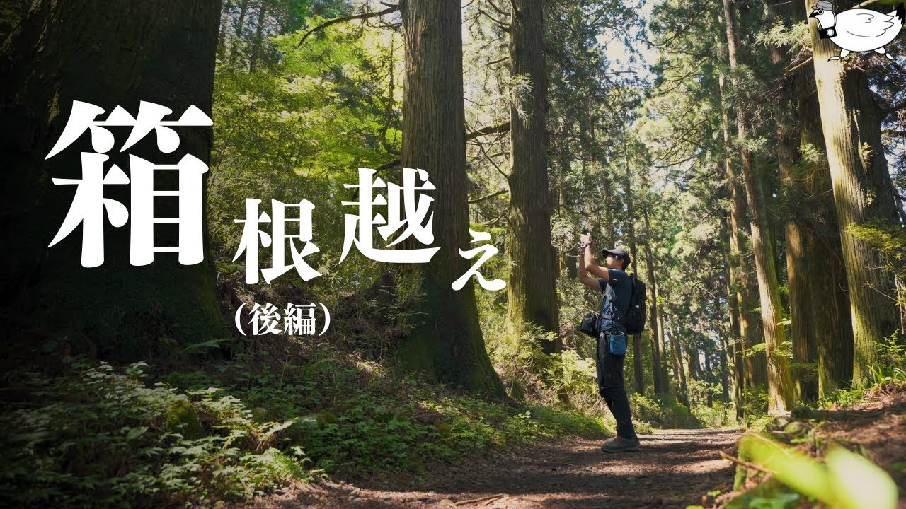 【後編】旧東海道を進む「箱根越えトレイル」（勝手に命名）| SONY α7C | SIGMA fp