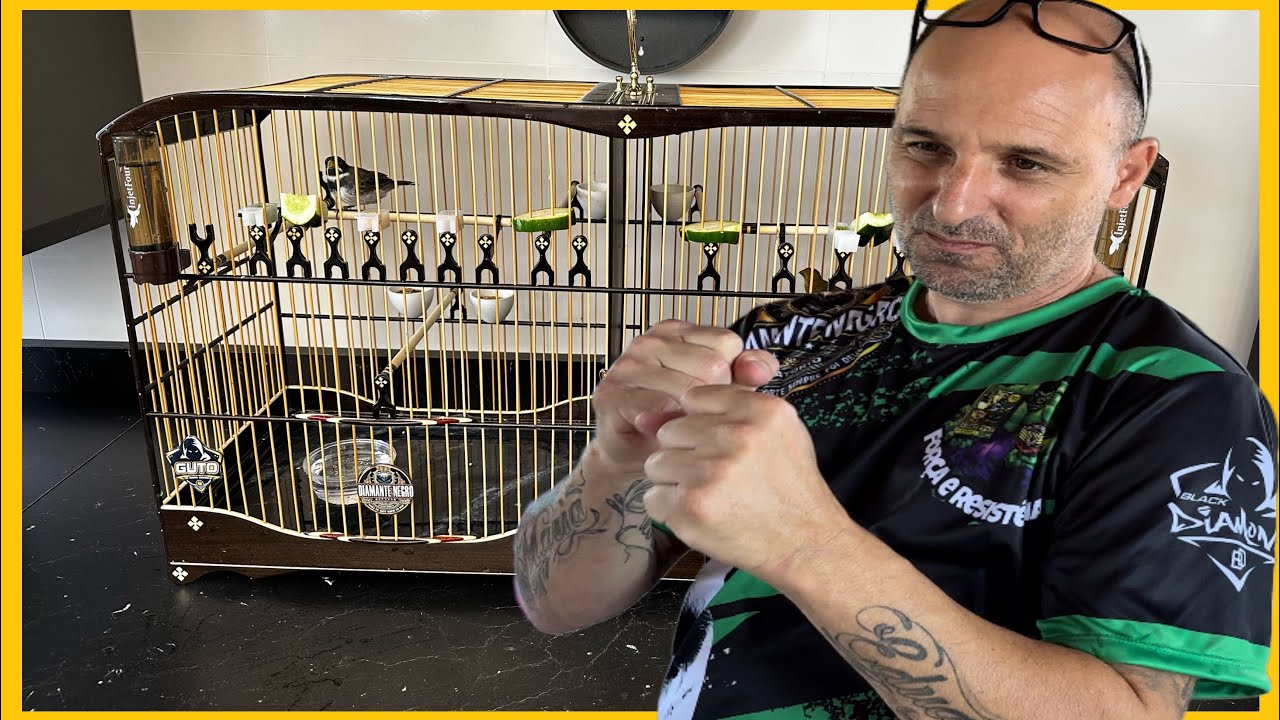 SÓ VAI DA BORDOADA MANEJO DO ZERO COLEIRO PAPA-CAPIM