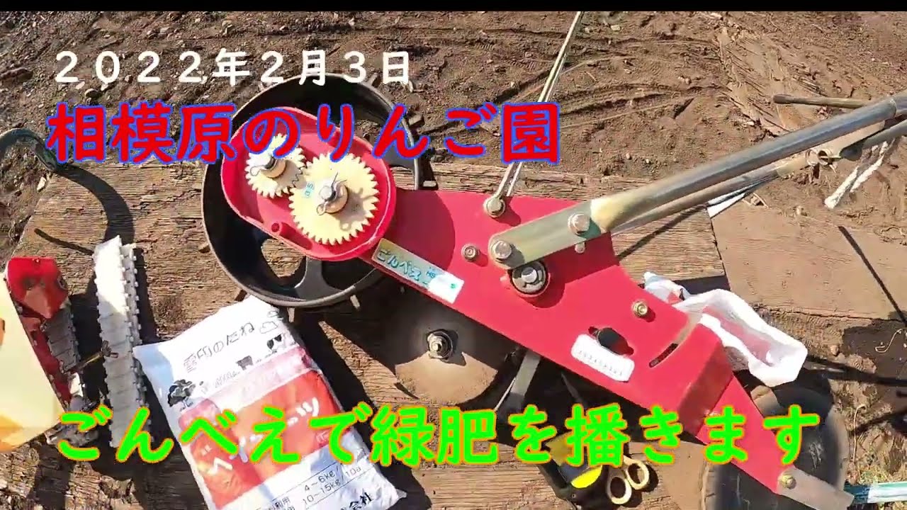 ごんべえで緑肥(ヘイオーツ）を播きます