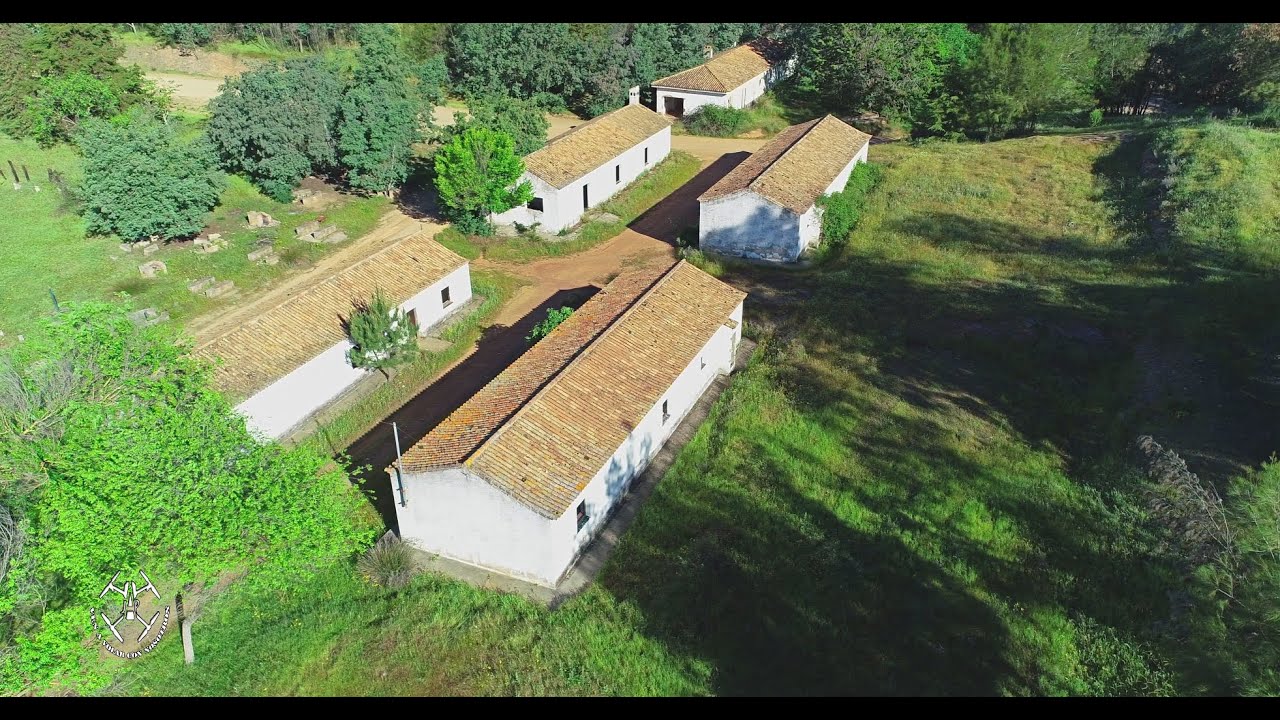 EL GUIJO (NIEBLA) - HUELVA