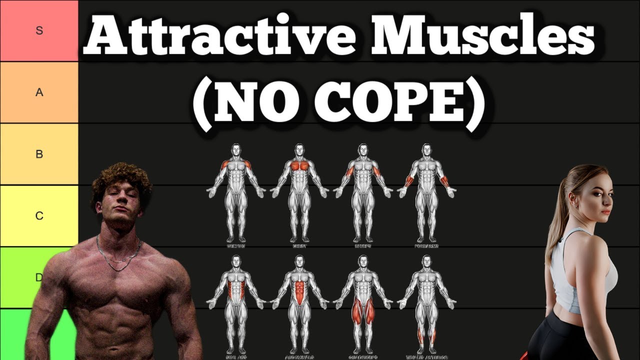 Muscle Groups Ranked By Female Gaze ft. Bodybuilder @Connor Sinann (TIER LIST)