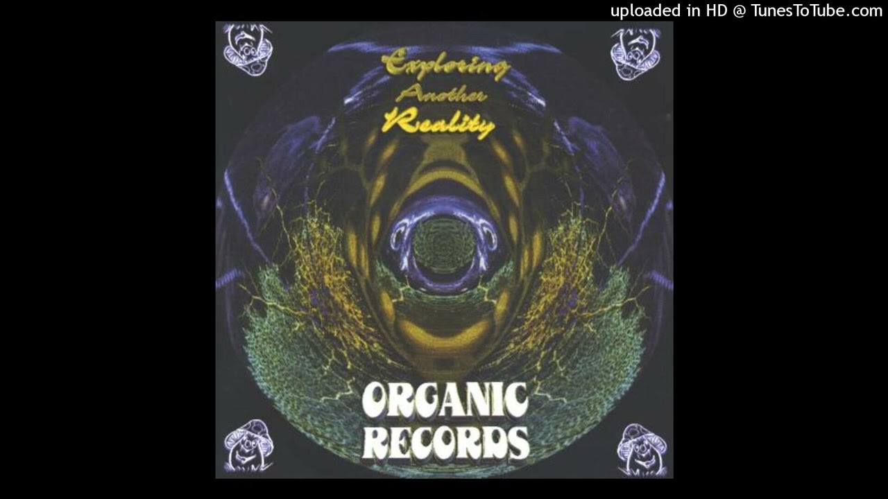 07. Chris Organic & Jerry Parsons - Telekinetic
