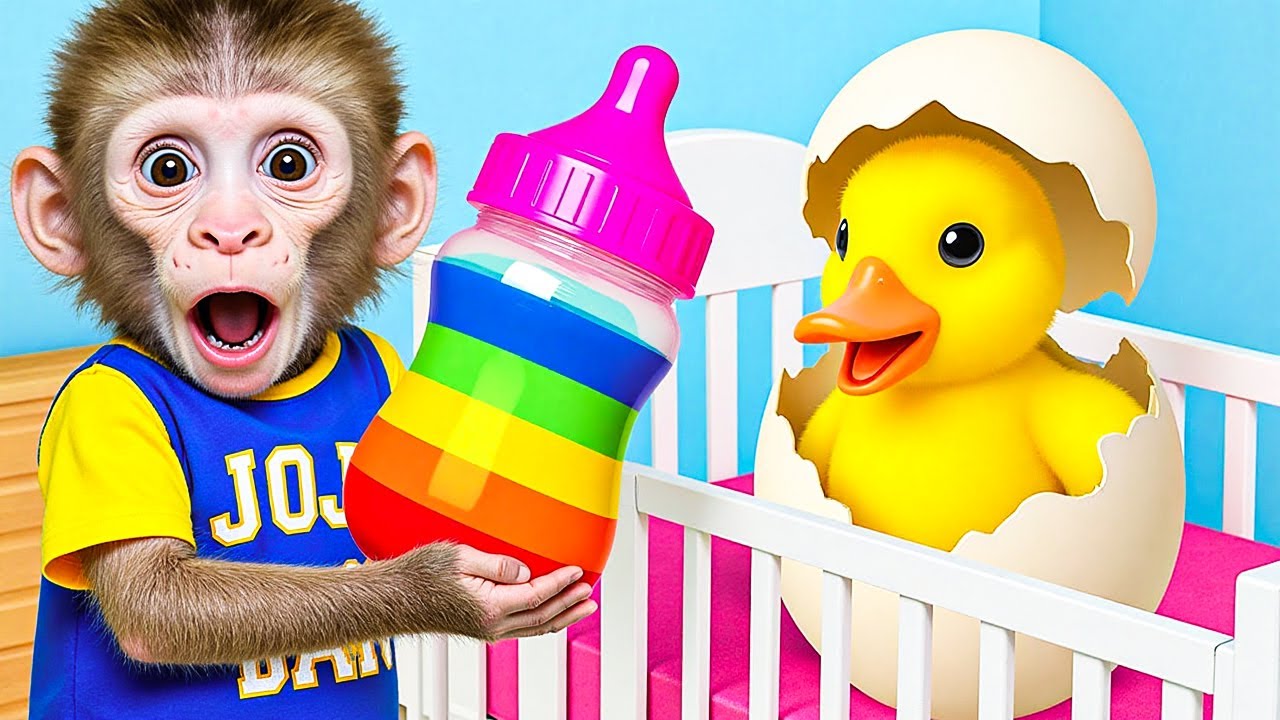 BiBi Monkey takes care of the cute duckling and discovers a mysterious egg | Baby Monkey Daily