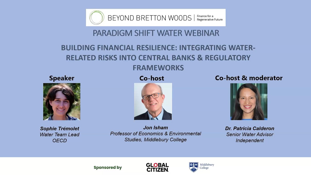 Building Financial Resilience | Sophie Trémolet, Patricia Calderon, & Jon Isham | BBW webinar