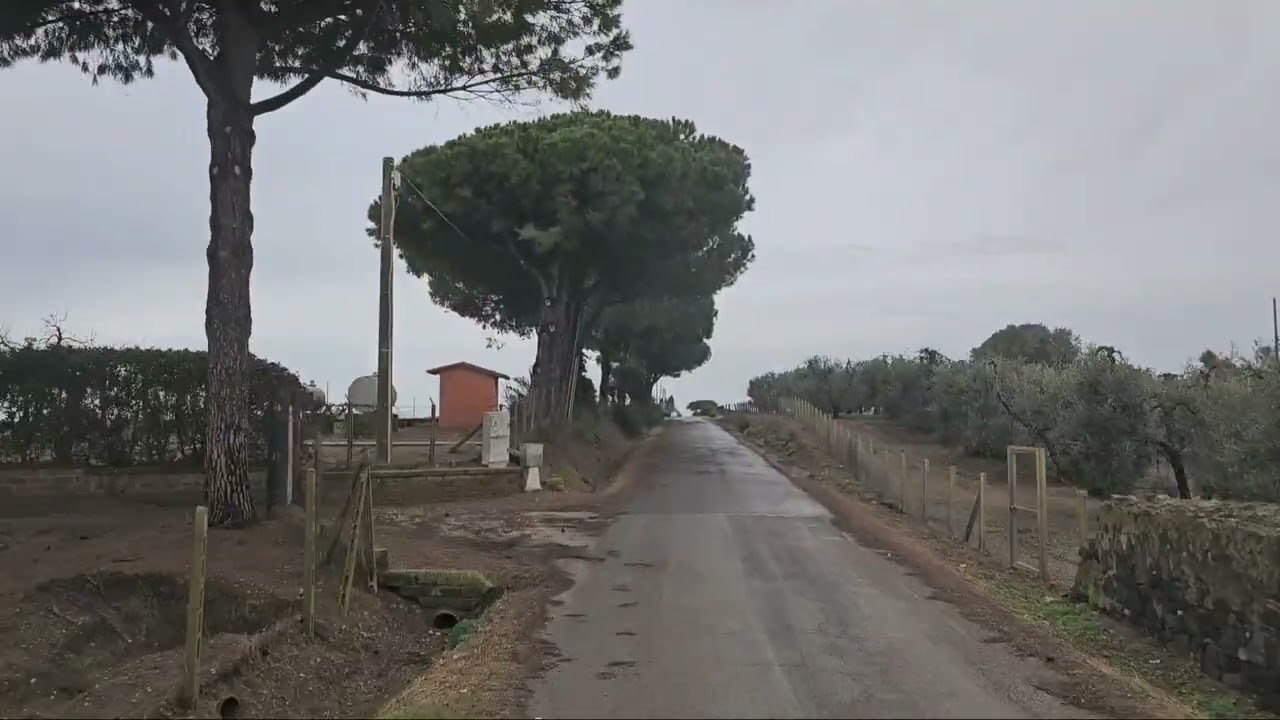 Lavoro giornaliero camionista🚚🚚🚚