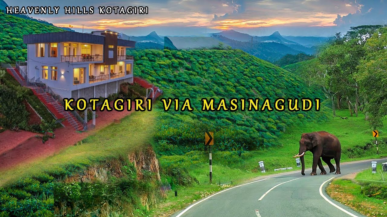 Masinagudi to Kotagiri | Heavenly hills stay