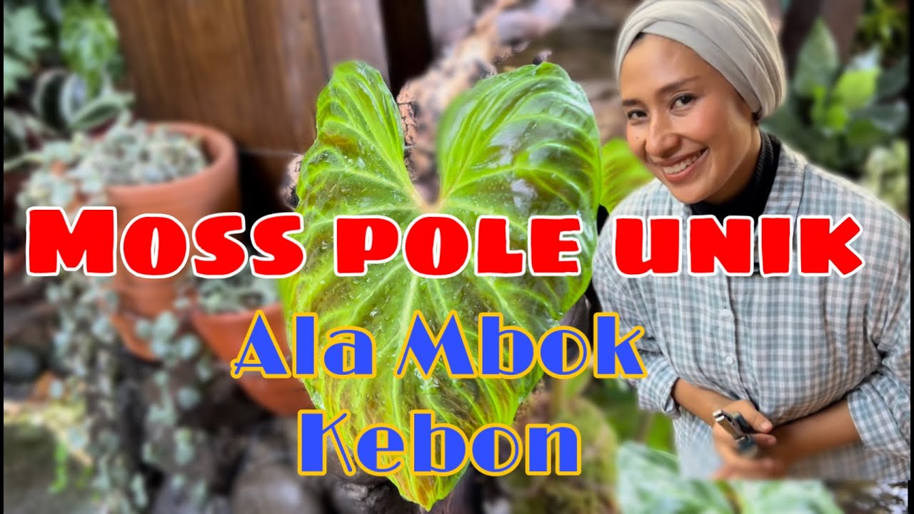 #DIY | Moss Pole Versi Mbok Kebon