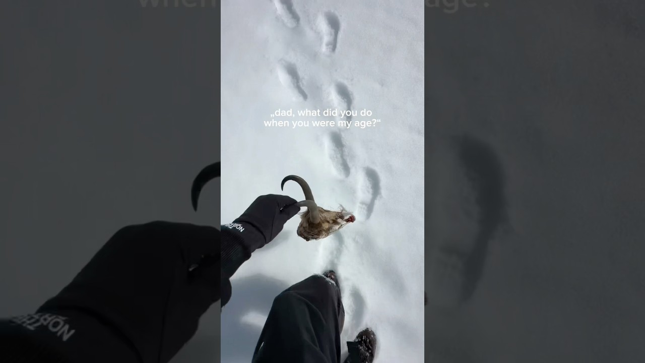 Pushin‘ dadlore ❄️🏔️ 