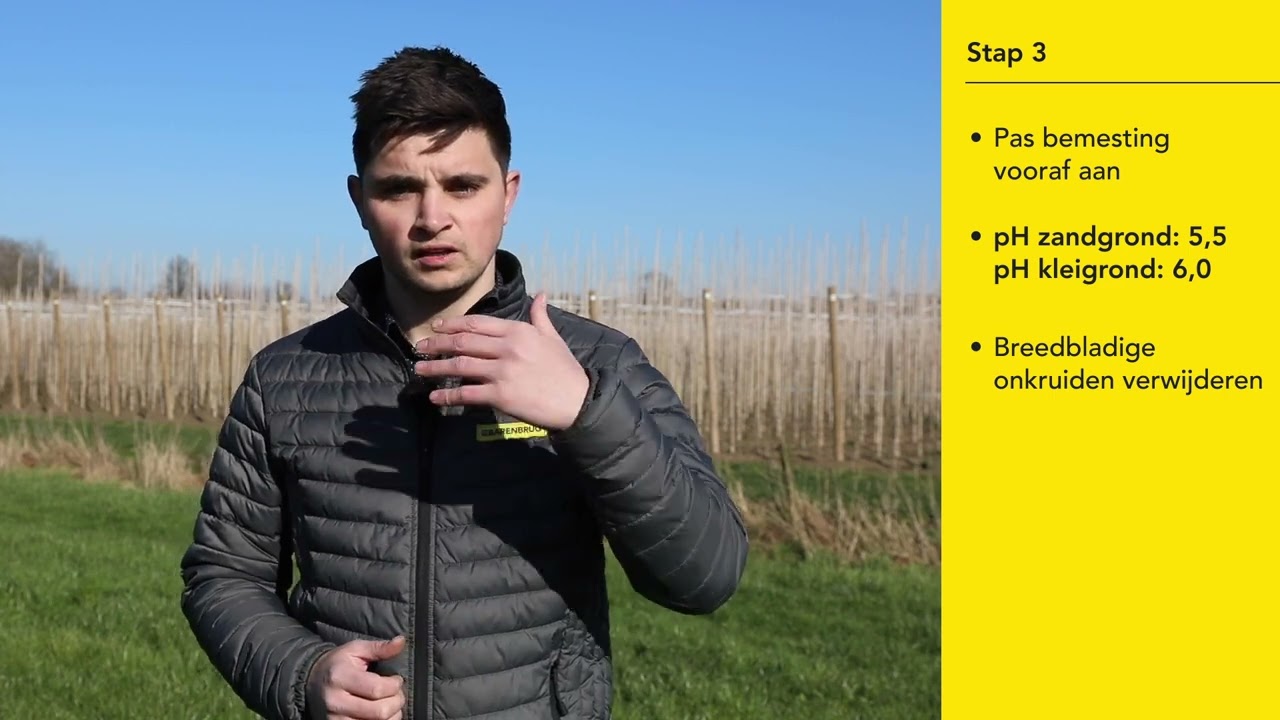 Stappenplan doorzaaien kruiden in bestaand grasland