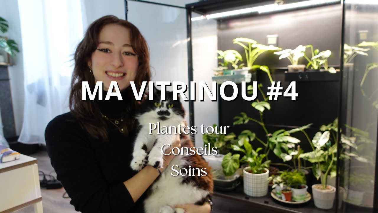 MA VITRINOU #4 - Plantes tour, Conseils, soins des plantes