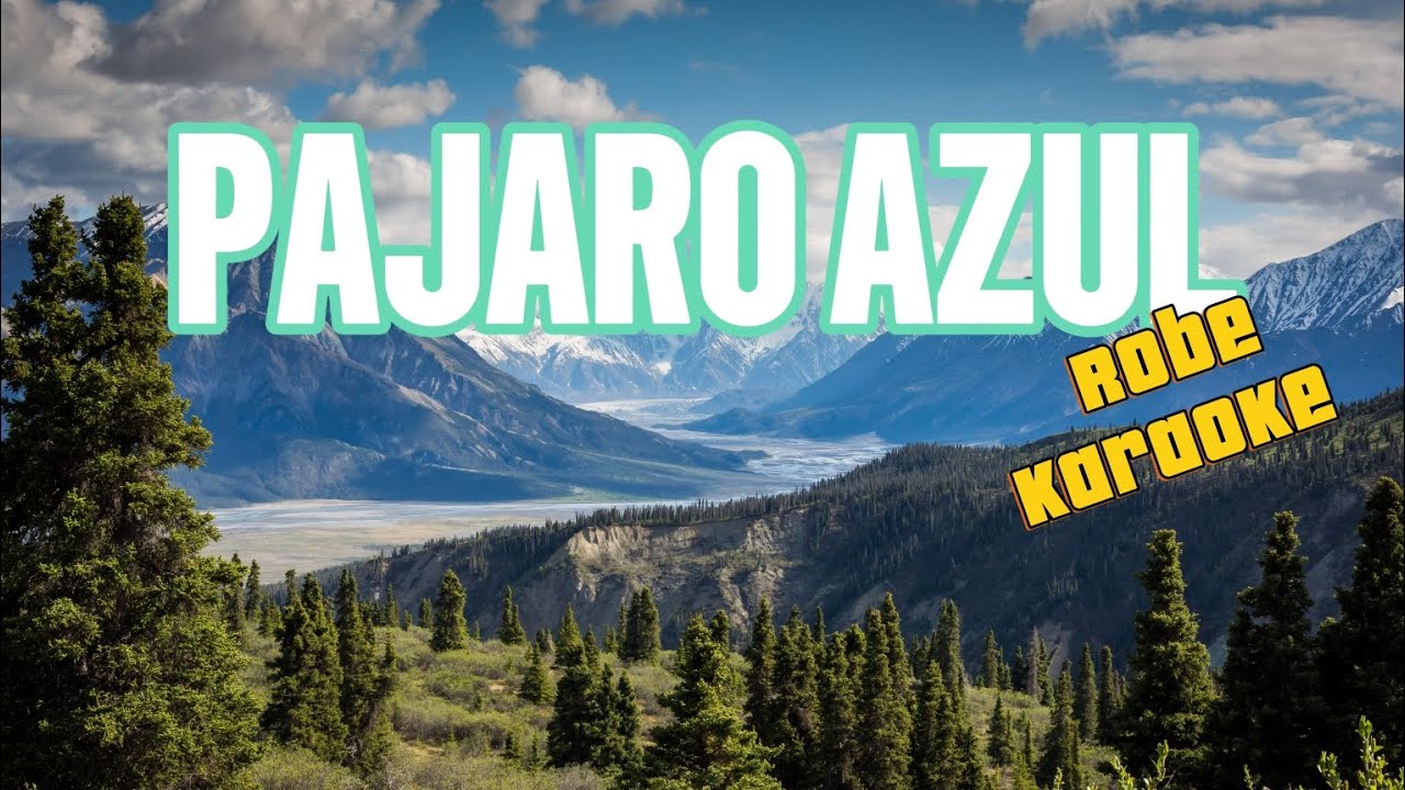 Hombre pájaro Robe Karaoke 