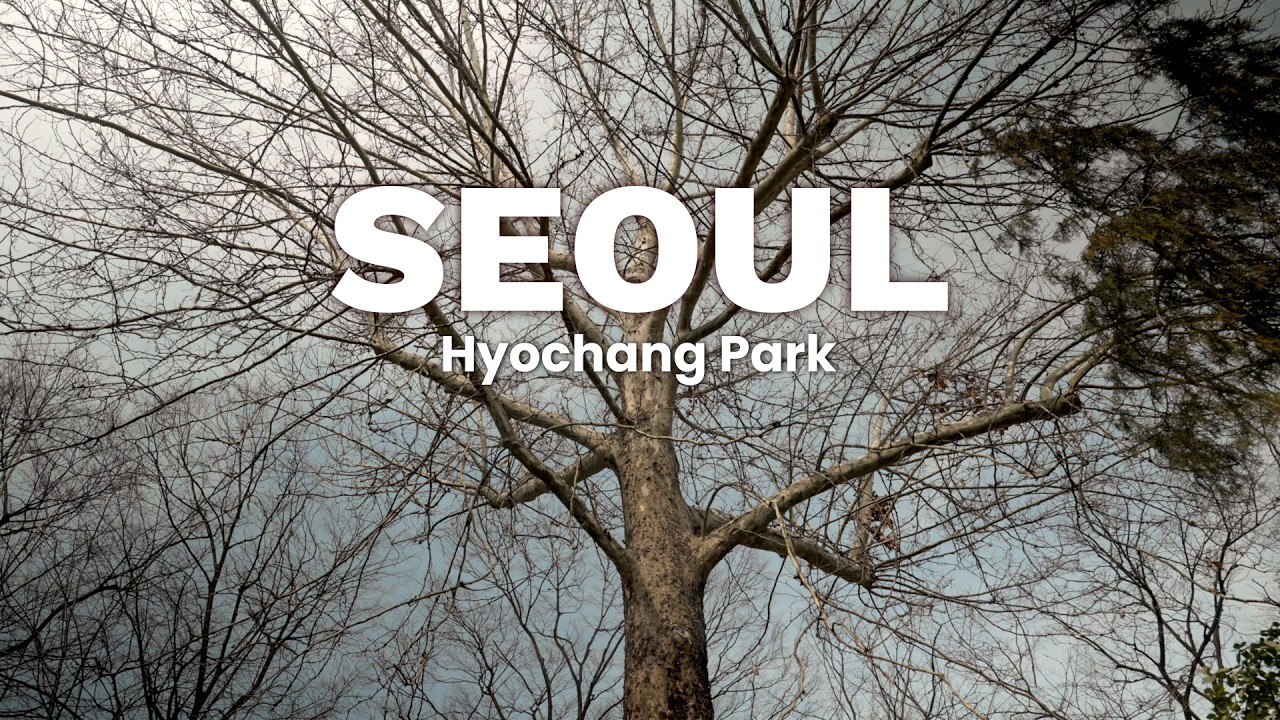 20260316 동네산책 : 효창공원