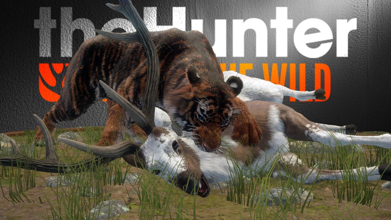 ZWEI Super Rares im Multimount! - Trophy Lodge React! | theHunter Call of the Wild