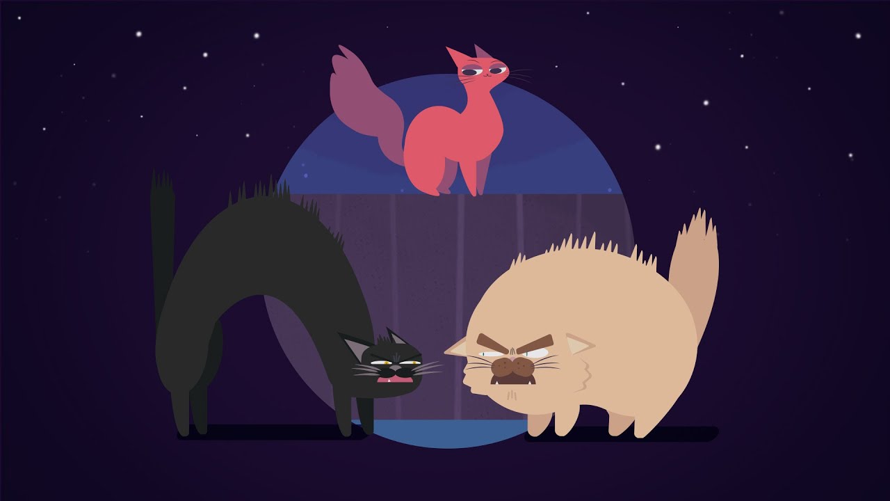 Explainer video | animacja 2D dla Climatop | Studio Pigeon