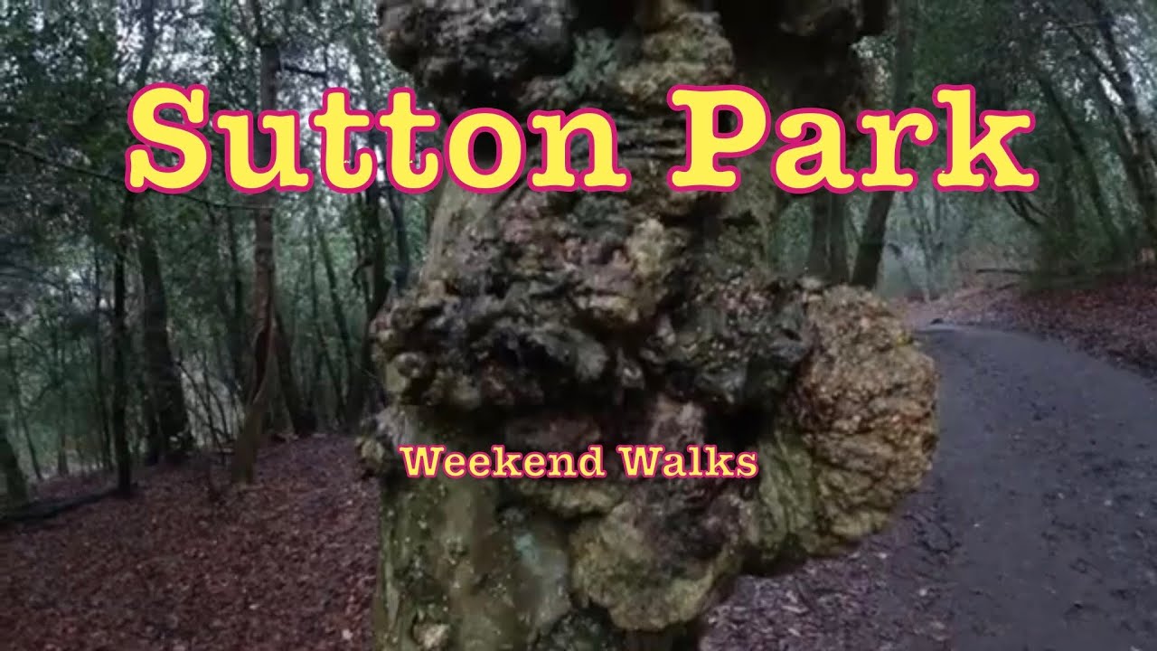 Weekend walk Sutton Park. A really great place to wander around. A nice autumn walk!!