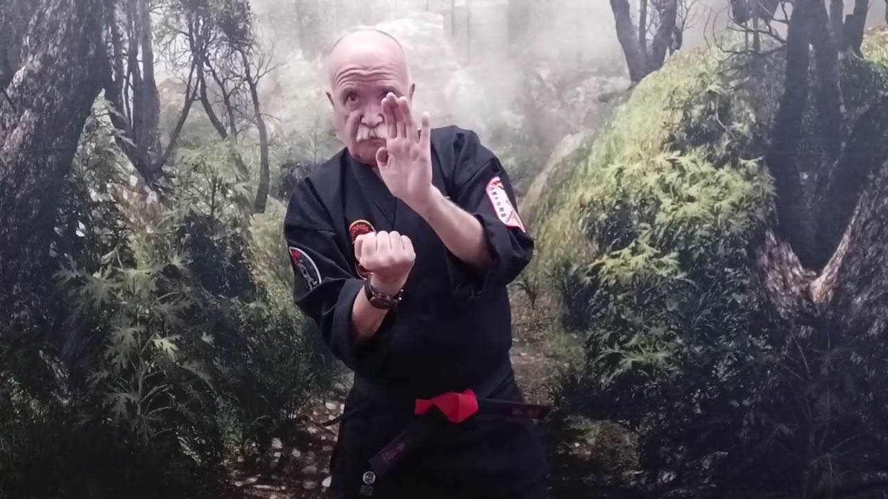 Te Kempo Jujitsu: KATA: Okinawa Te's 