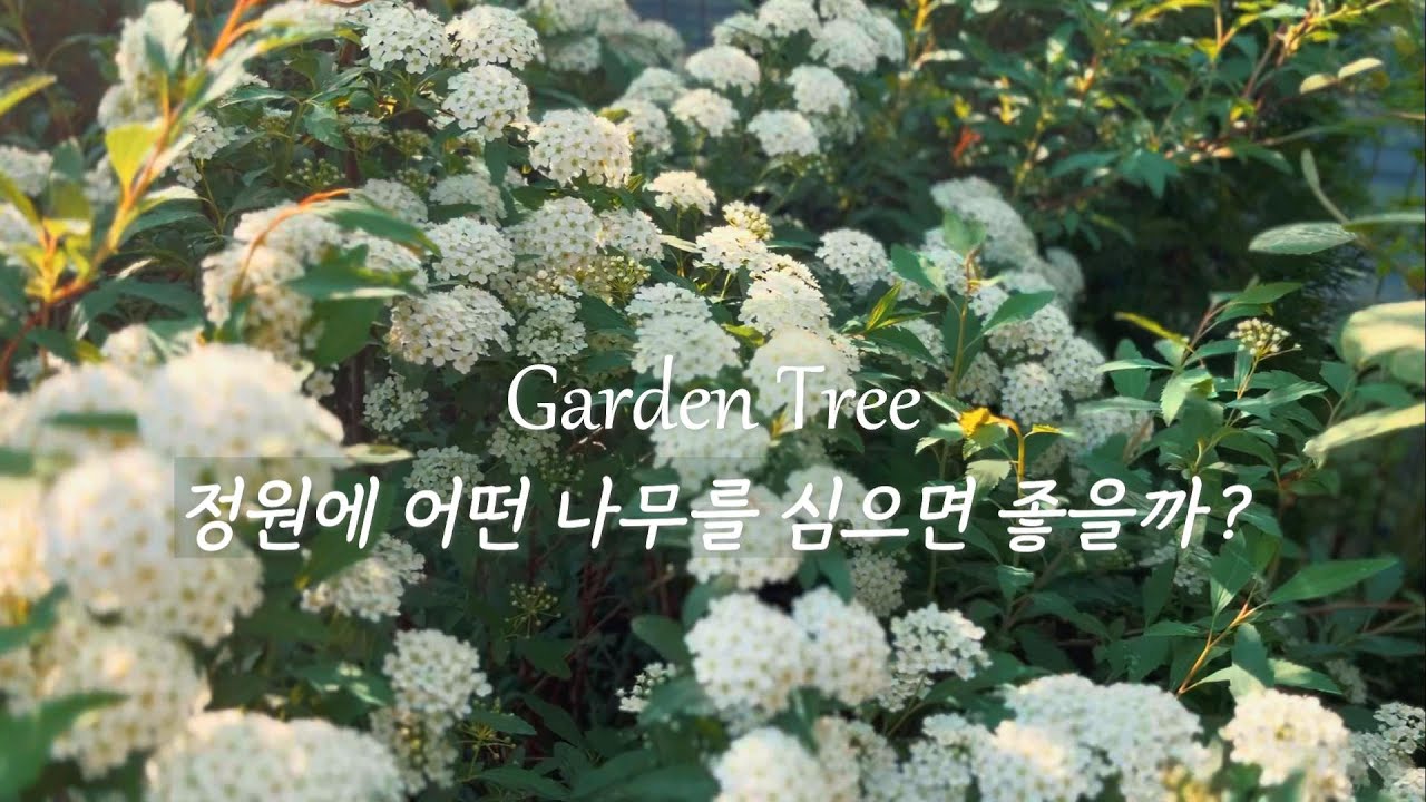 꽃이 너무 예쁜 꽃나무 10종!  | 작은 정원 꽃나무 | 고릴라 전동가위 | 정원수 추천 garden tree