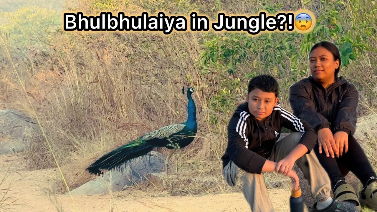 Forest Trek Gone Wrong?😳 | Trek, Peacock & Bhulbhulaiya Feel