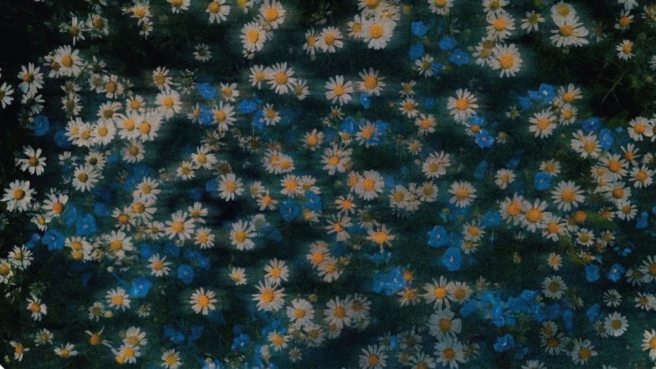 Playlist. 이젠 나한테 새벽이 되어버린 너에게.