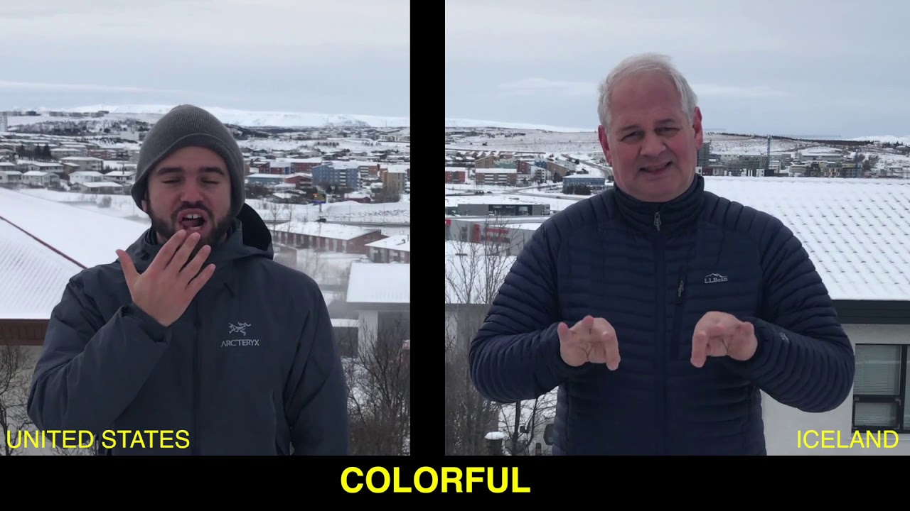 Icelandic Sign Language in 49 Words!