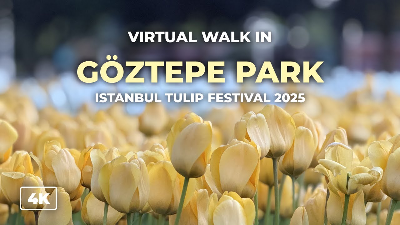 Istanbul Tulip Festival 2025 | Stunning Walk in Göztepe Park During Peak Bloom