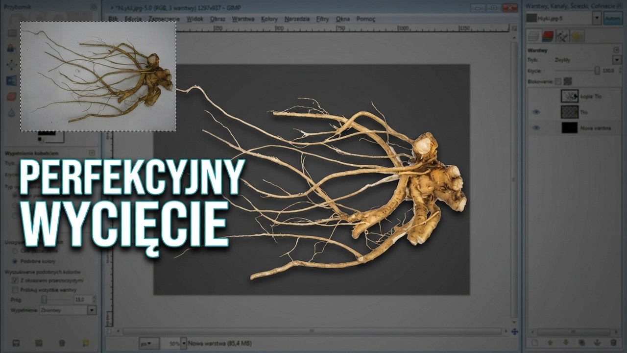 Gimp. Wytnij skomplikowany obiekt w 15 minut.