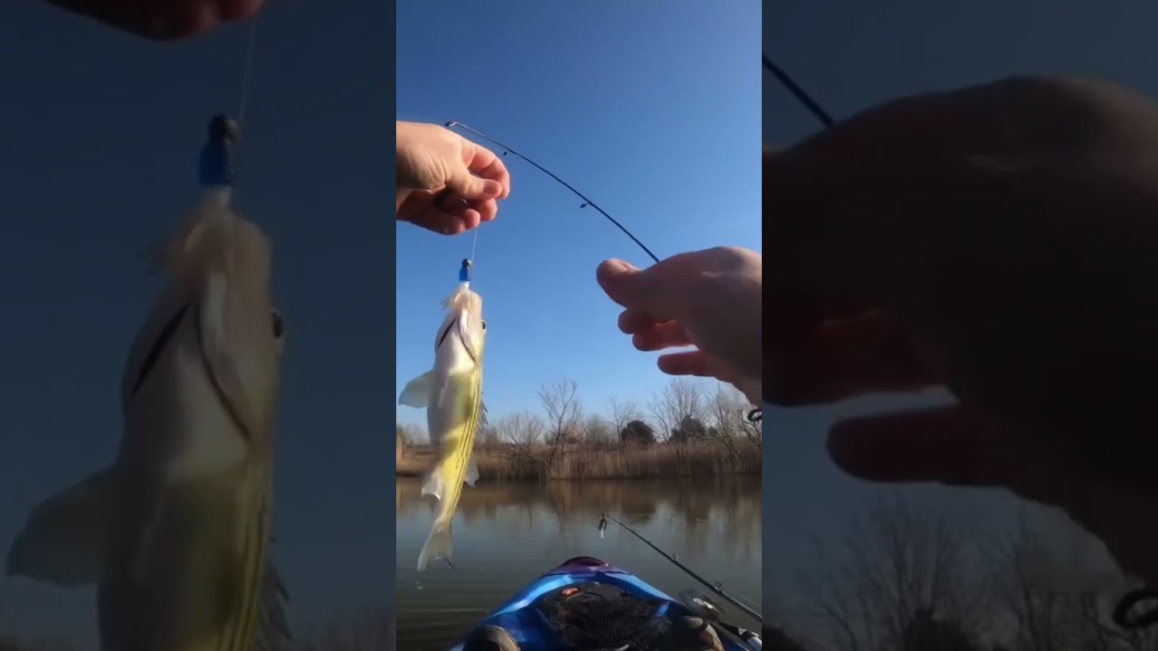Full video available in comments 