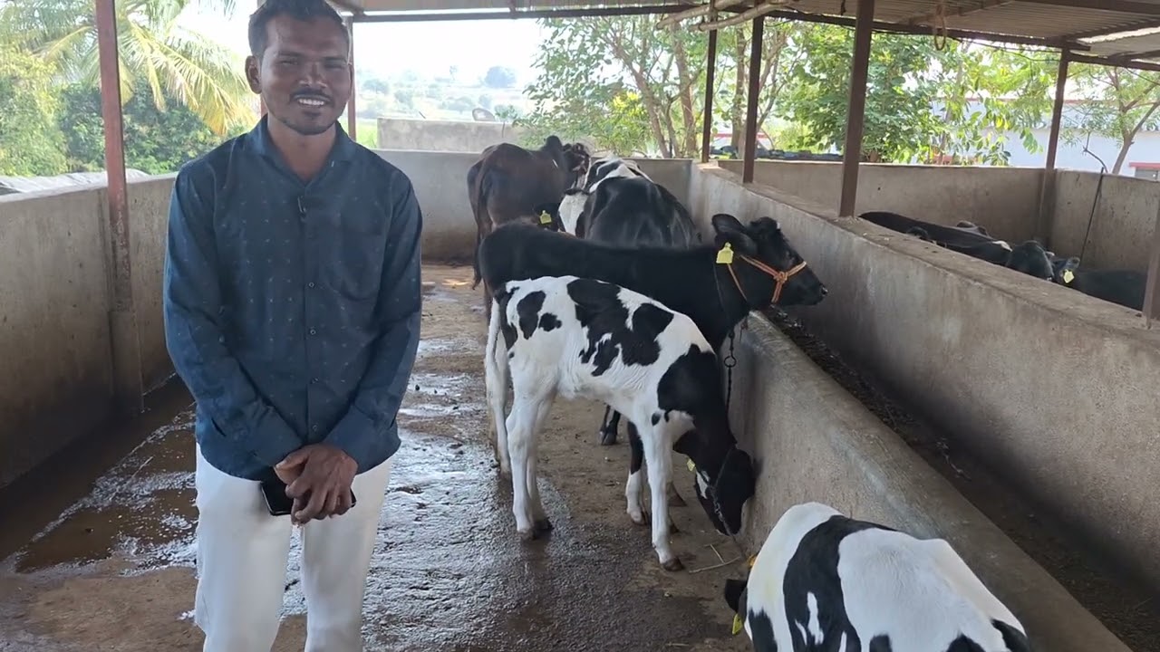 ABS Piper bull experience by Mr Ganesh Jadhav.....