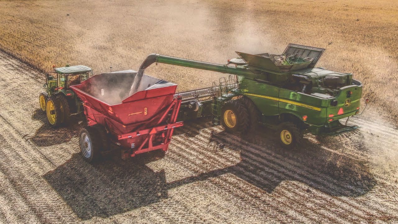 Dry Bean Harvest 2020
