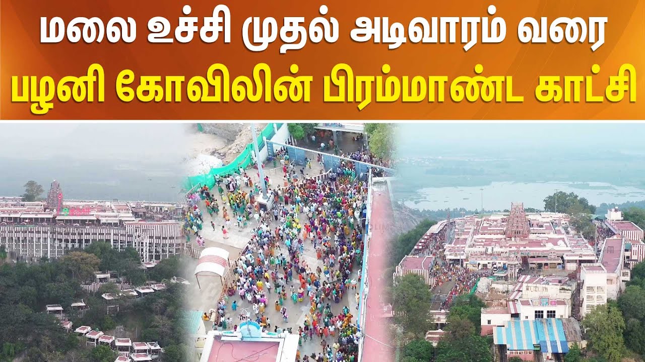 மலை உச்சி முதல் அடிவாரம் வரை... பழனி கோவிலின் பிரம்மாண்ட காட்சி Thaipusam | Thaipoosam