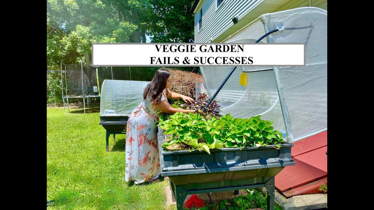 VEG GARDEN FAILS & SUCCESSES / MINI HARVEST / VEGEPOD UPDATE