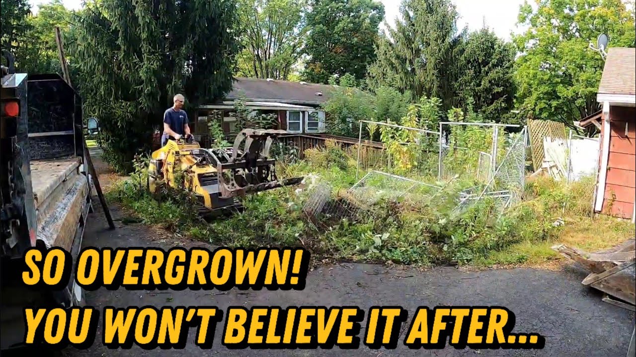 Backyard Transformation: Overgrown Jungle to Clean Lot with Mini Skid Steer