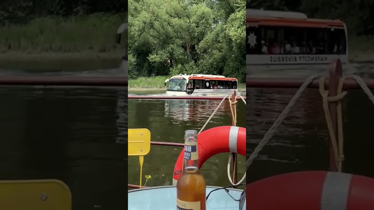😲Water Bus! From River to Road 🚌💦