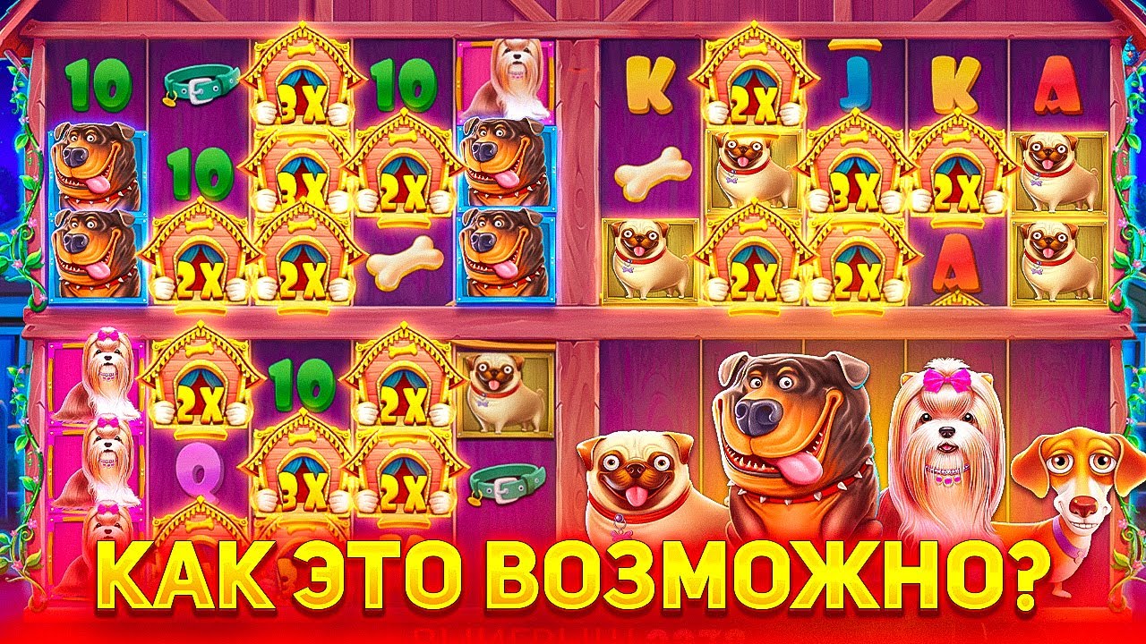 ПОВЫШАЮ СТАВКУ ПОСЛЕ КАЖДОЙ БОНУСКИ в The Dog House Multihold! Я ТАКОГО НЕ ОЖИДАЛ..
